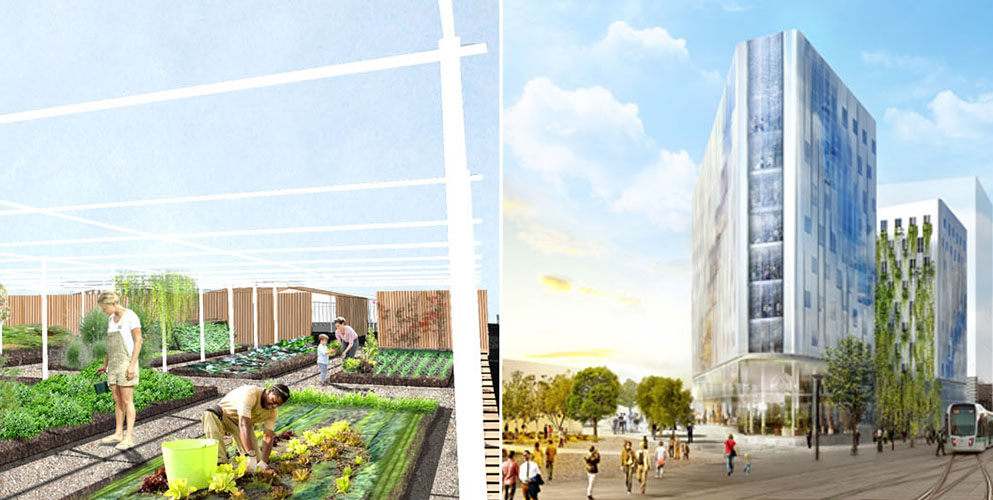 OCTOBRE 2018 - CRÉATION D'UN SITE D'AGRICULTURE URBAINE 